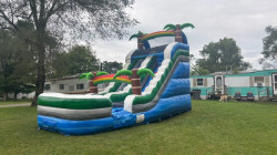 15 Foot Palm Slide
