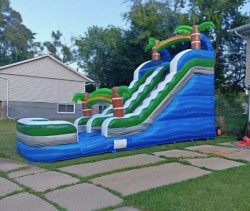 Resized Screenshot 20250717 085321 Facebook 1753062243992 1769913 1 15 Foot Palm Slide